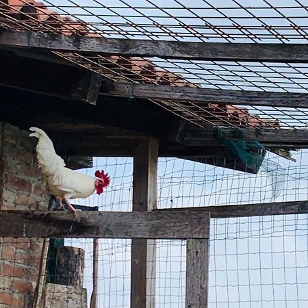 Agriturismo Cascina Smeralda Villa Pontestura Eksteriør bilde