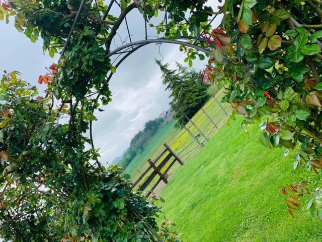 Agriturismo Cascina Smeralda Villa Pontestura Eksteriør bilde