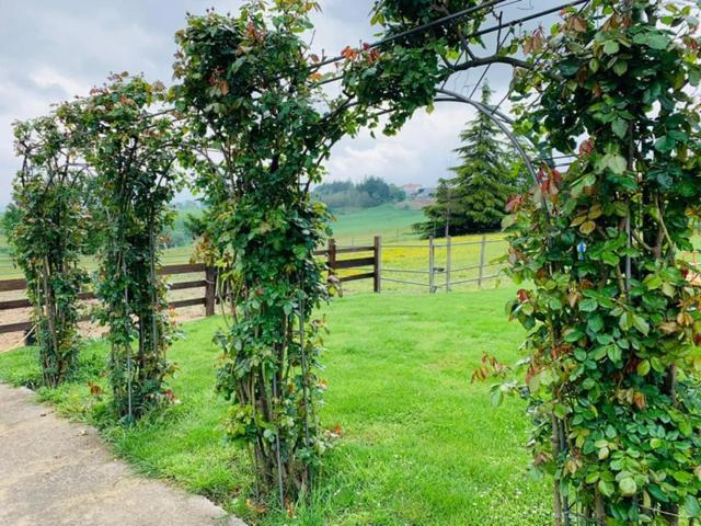 Agriturismo Cascina Smeralda Villa Pontestura Eksteriør bilde